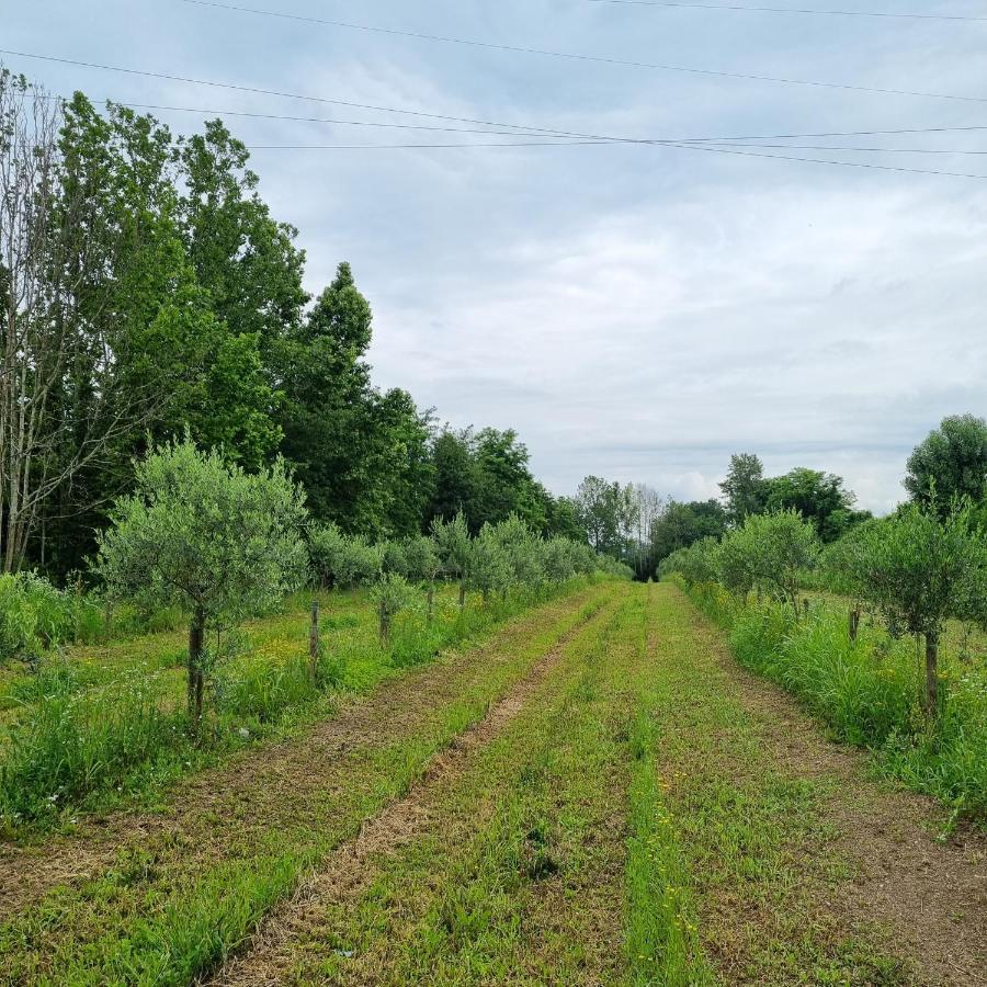 Corte Bottura Agriturismo 卡斯特努沃德加尔达 外观 照片