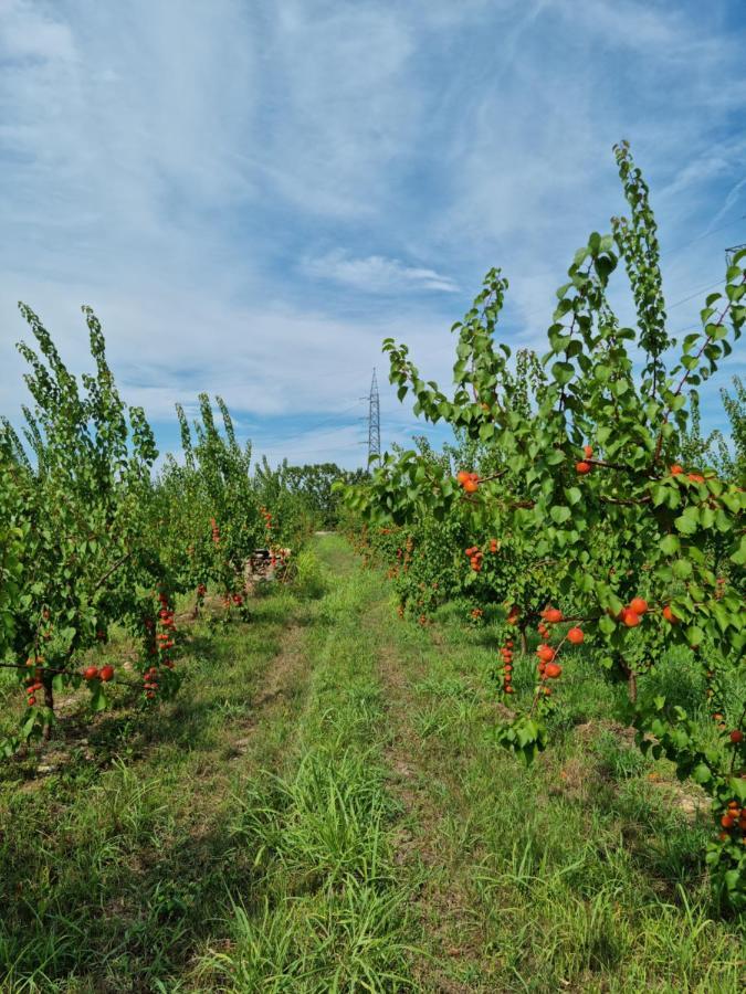 Corte Bottura Agriturismo 卡斯特努沃德加尔达 外观 照片